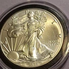 U.S. Mint American Eagle 2016 1 oz Silver Coin .999 Fine Business Strike