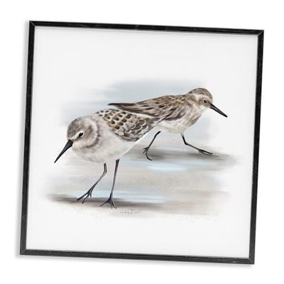  Sandpiper Pair on Sandy Beach Small Nautical Birds, 24x24 Black Framed