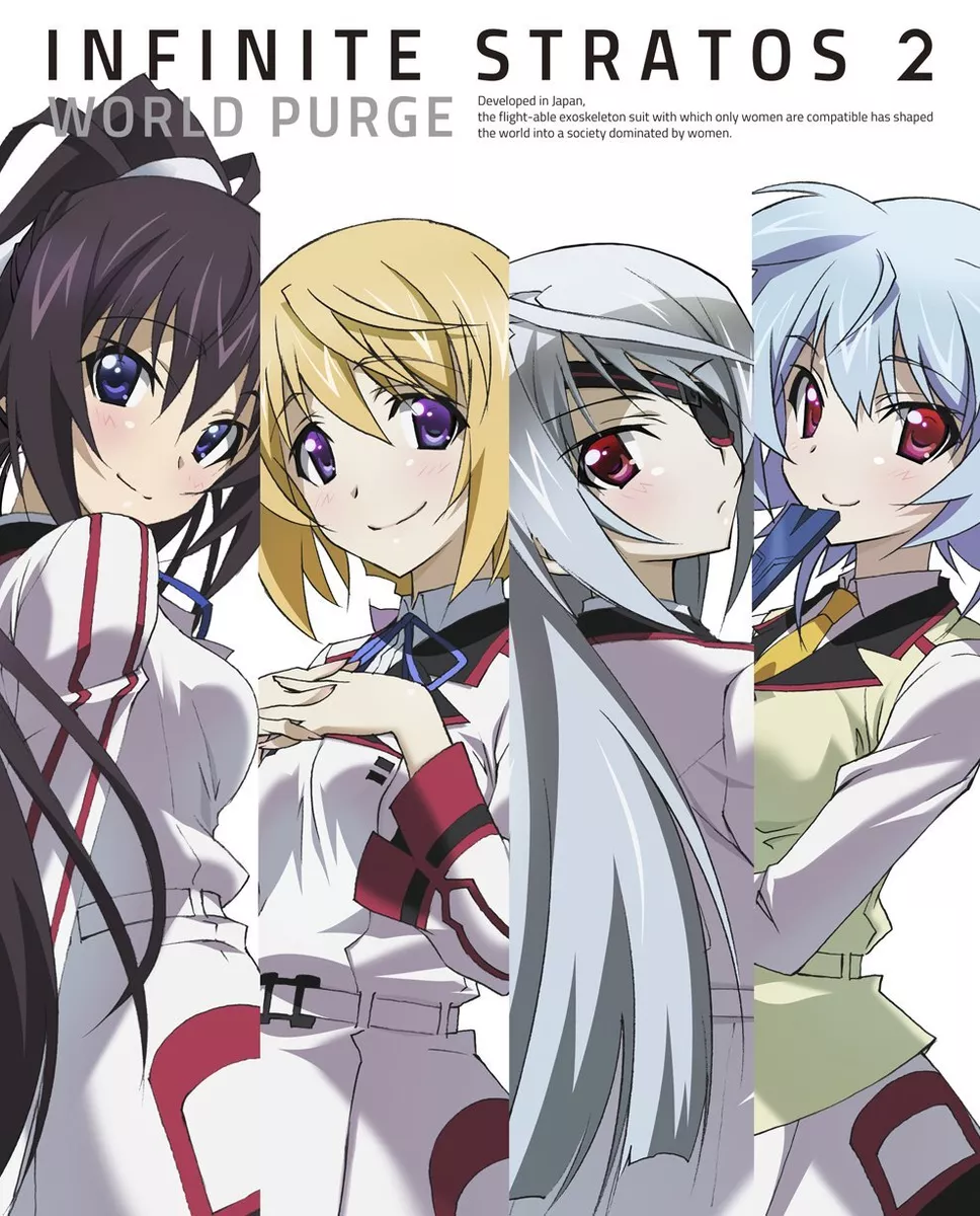 Infinite Stratos: Versus Colors Expansion Included coming to Steam on  August 2 - Gematsu