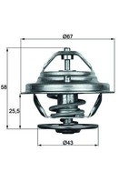 NEU - Mahle TX1975D Thermostat, KüHlmittel FüR MERCEDES-BENZ