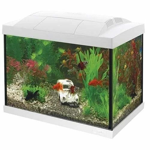 Superfish Aquarium Start 20 weiß Goldfish Kit LED