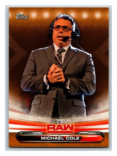 2019 Topps WWE RAW w/ Hometown Heroes & Bronze - Pick One - Fill Your Set - Picture 344 of 383