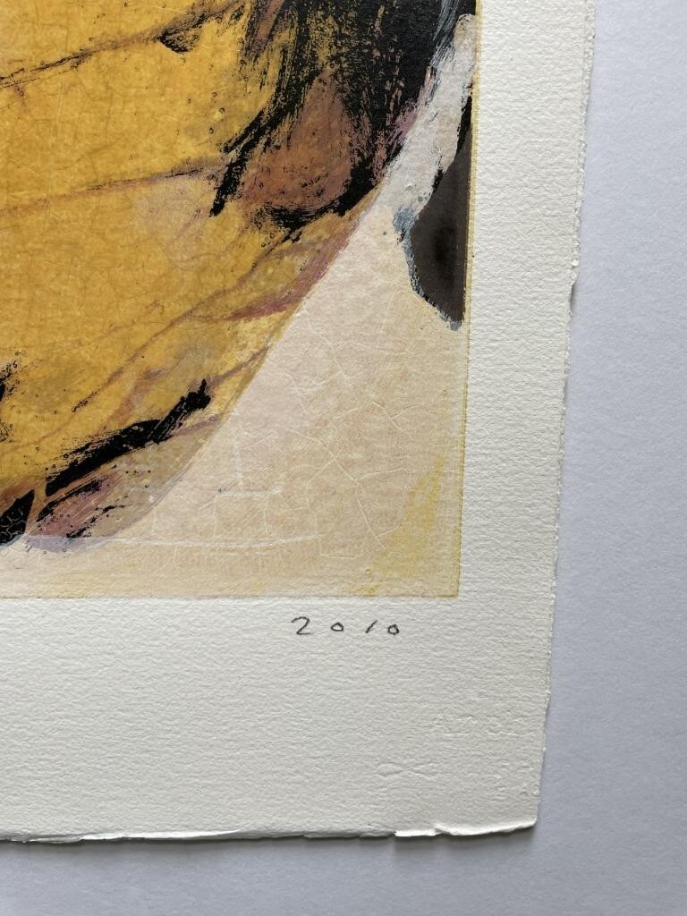 Picture 6 of 6