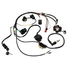 Complete Electric Wiring Harness CDI Stator for Chinese ATV UTV Go Kart Taotao