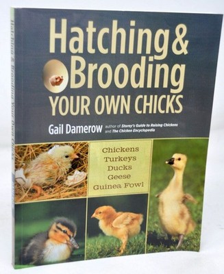 Hatching & Brooding Your Own Chicks Ducks Geese Turkeys Fowl by Gail Damerow