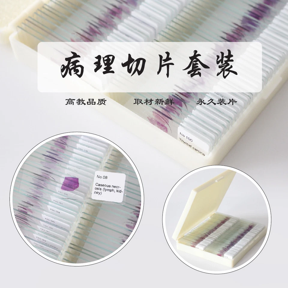 Conjunto de 100 piezas de diapositivas preparadas para microscopio de patología de mamíferos muestra Foto 4 de 4