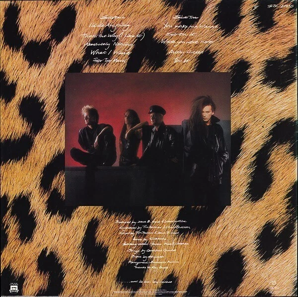 Dead Or Alive – Sophisticated Boom Boom - LP Vinyl EPIC 1984. EPC25835 VG++ - Image 2 of 2