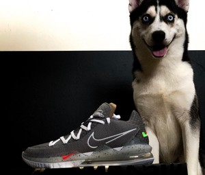 lebron 17 low particle gray