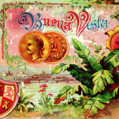 c.1910 Buena Vista Outer Cigar Box Label Two Gold Coins Palm Plant Ocean Bay