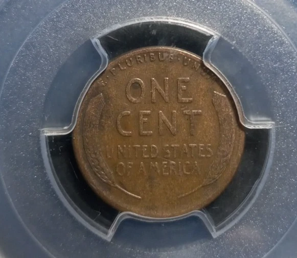 1911 S - Wheat Cent - PCGS F15                  FREE Tracked Shipping!      (S1) - Image 4 of 4