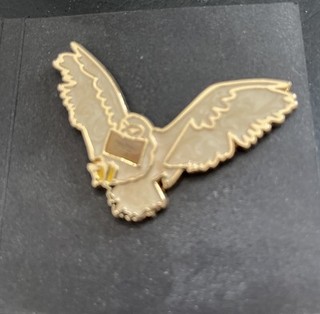 Harry Potter Hedwig Pin Hogwarts Letter Wizarding World Loot Crate Exclusive