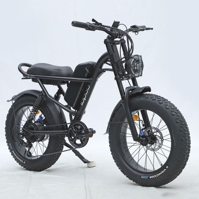 20 Zoll Elektrofahrrad 500W 15AH 48V Fatbike Ebike Mountainbike Pedelec 45km/h