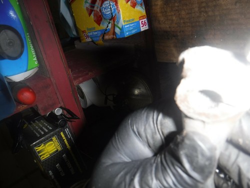 Harley Davidson Aermacchi  1966 M 50 Leggero transmission gear shift lever/pedal - Foto 3 di 6