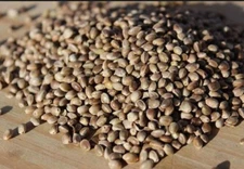 7 oz Organically grown Hemp seeds from Europe Vegan food protein seed