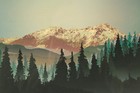 Picture 4 of 9