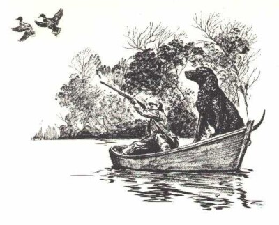 AMERICAN WATER SPANIEL - CUSTOM MATTED - Dog Art Print - 1964