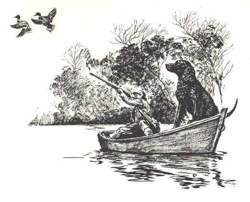 AMERICAN WATER SPANIEL - CUSTOM MATTED - Dog Art Print - 1964