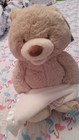 New Baby Gund Animated Peek-A-Boo My First Teddy Bear Plush Stuffed Animal. NWT — photo 9