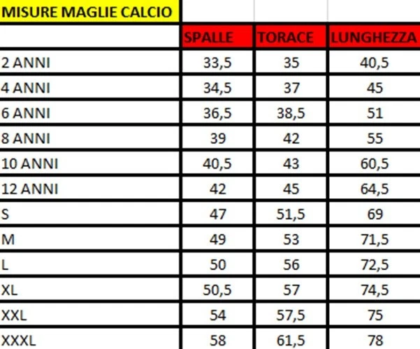 Maglia McTominay 8 Napoli 2025 2026 Home ufficiale AUTORIZZATA SSC - Immagine 3 di 3
