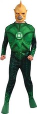 Green Lantern Childs Deluxe Tomar Re Costume With Muscle Chest Size M 8-10 New