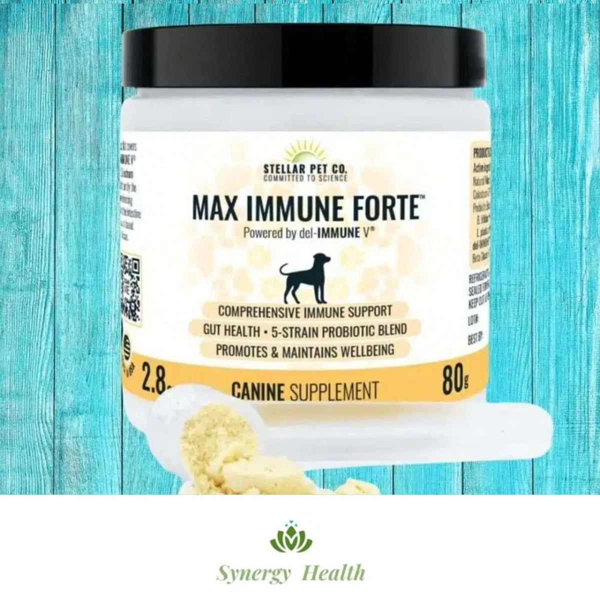 Essential top pet probiotics