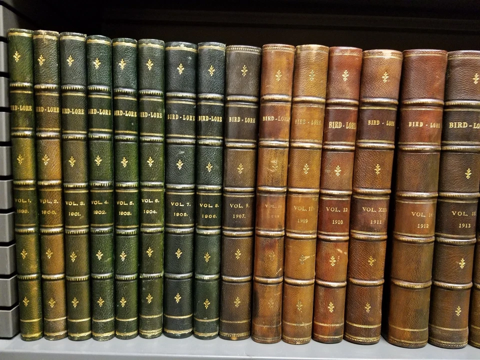 Bird-Lore 1899-1940 Complete Run 42 Vols Moroccan Fine-Binding Audubon Society - Image 2 of 4