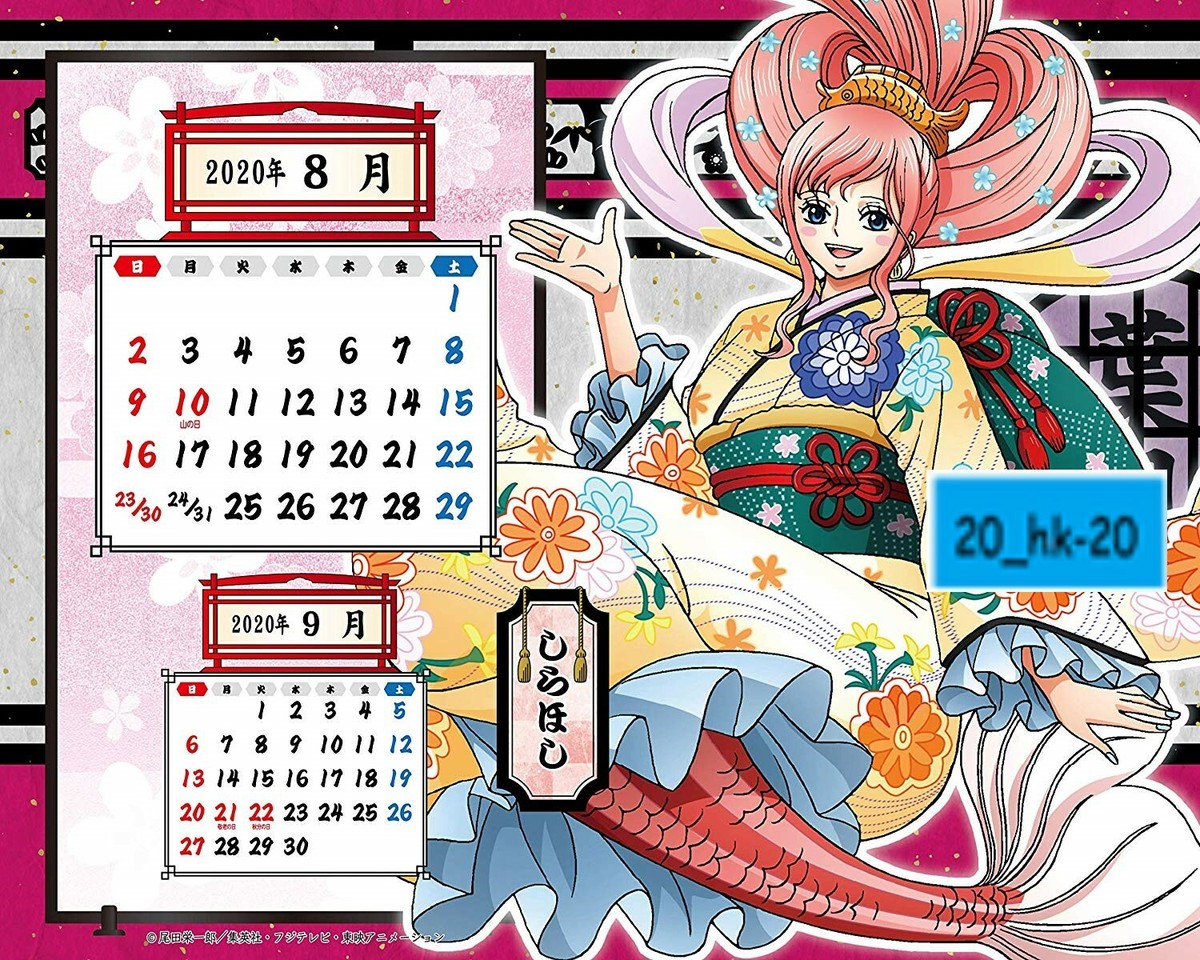 【購入】ONE PIECE カレンダー 2020 ONE PIECE』コミックカレンダー2020特製缶入り 日めくり