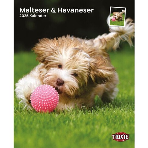 Trixie Kalender 2025 Malteser / Havaneser Hundekalender  eBay