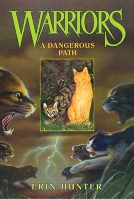 A Dangerous Path Paperback Erin Hunter