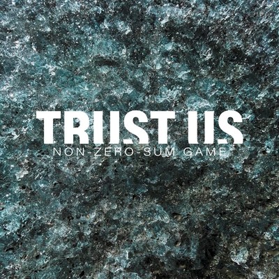 Trust Us - Non-Zero-Sum-Game  [VINYL]