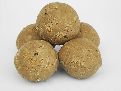 Buy Twootz Unnetted Fat Balls 12.75kg Equivalent To Approx 150 Fatballs