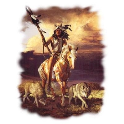 Three Wolves Indian  Tshirt  Sizes/Colors        
