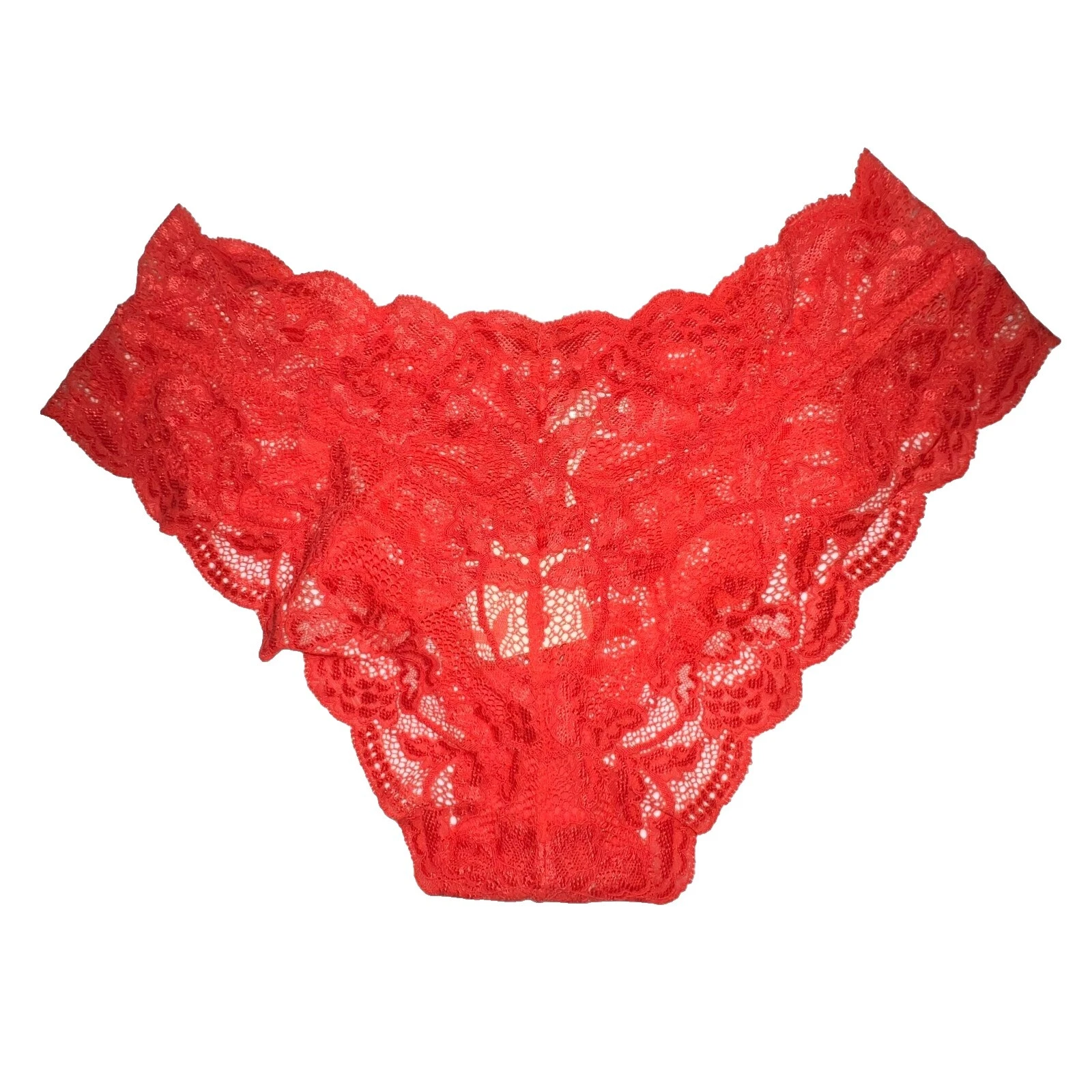 Nylon Floral Regular Size Brief Panties for Women