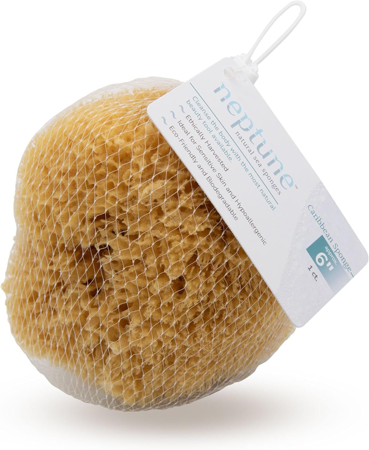 Native American Sponge Natural Caribbean Sea Sponge - All Renewable (6 Yellow | eBay