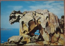 PALAU (Sassari) - CAPO D'ORSO - ROCCIA