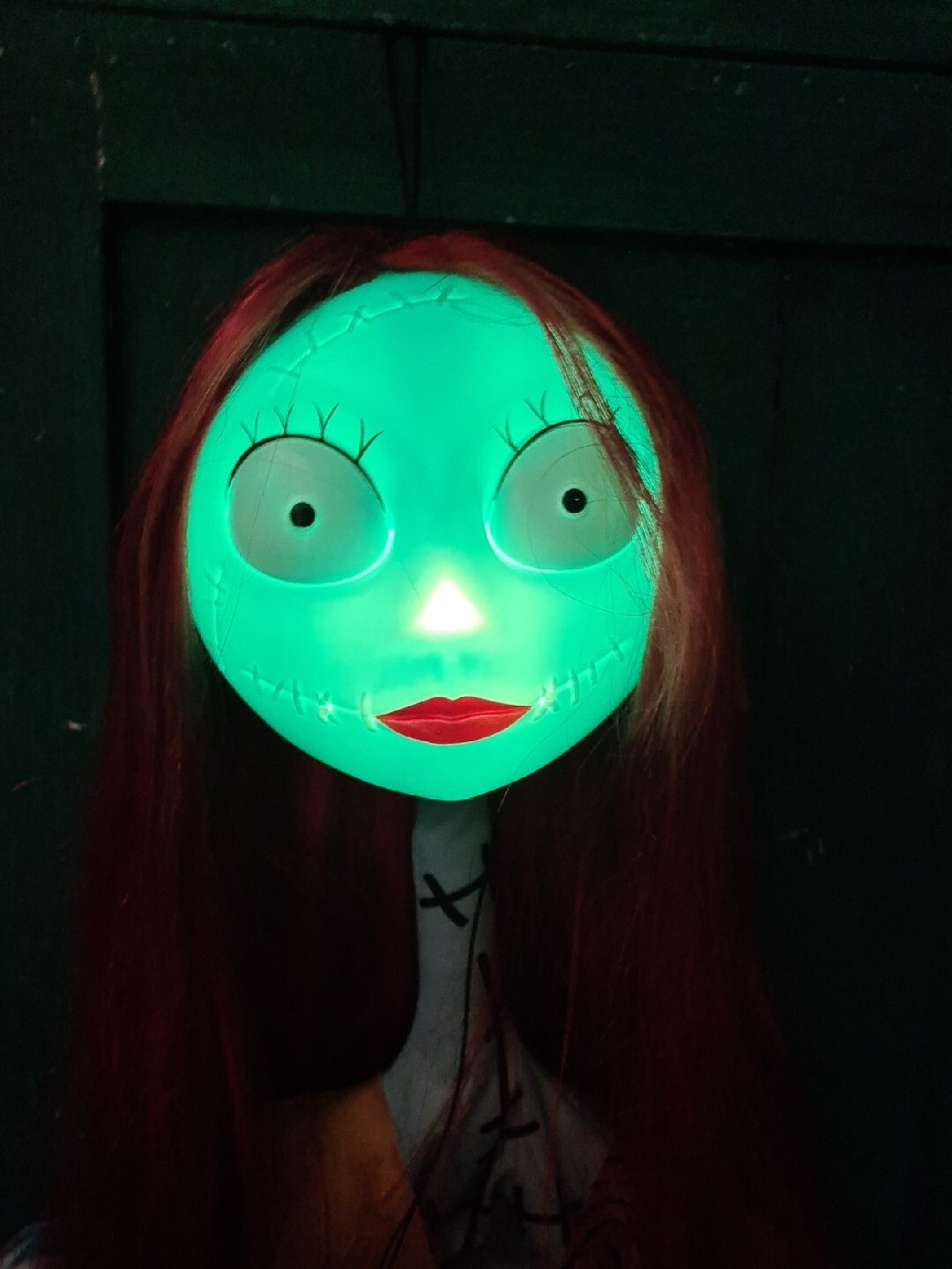 Disney Nightmare Before Christmas Light Up 5ft 5 Hanging Sally Jack