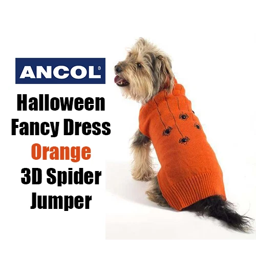 Halloween 2025 dog jumper