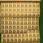 Foto 14 di 21