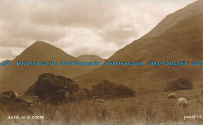 R105823 in Glencoe. Richter Ltd. Nr 4258