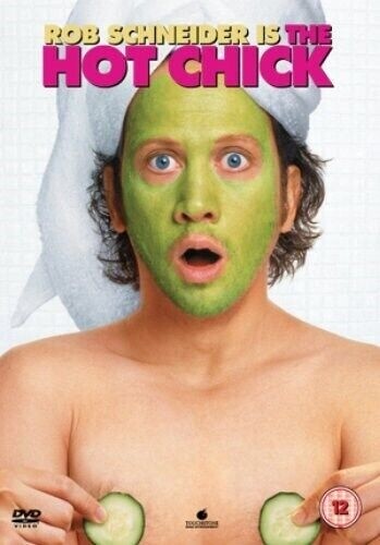The Hot Chick - Sealed NEW DVD - Anna Faris