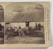 Denis O'Shaughnessy's Home County Tipperary Ireland Vintage Stereoview Card