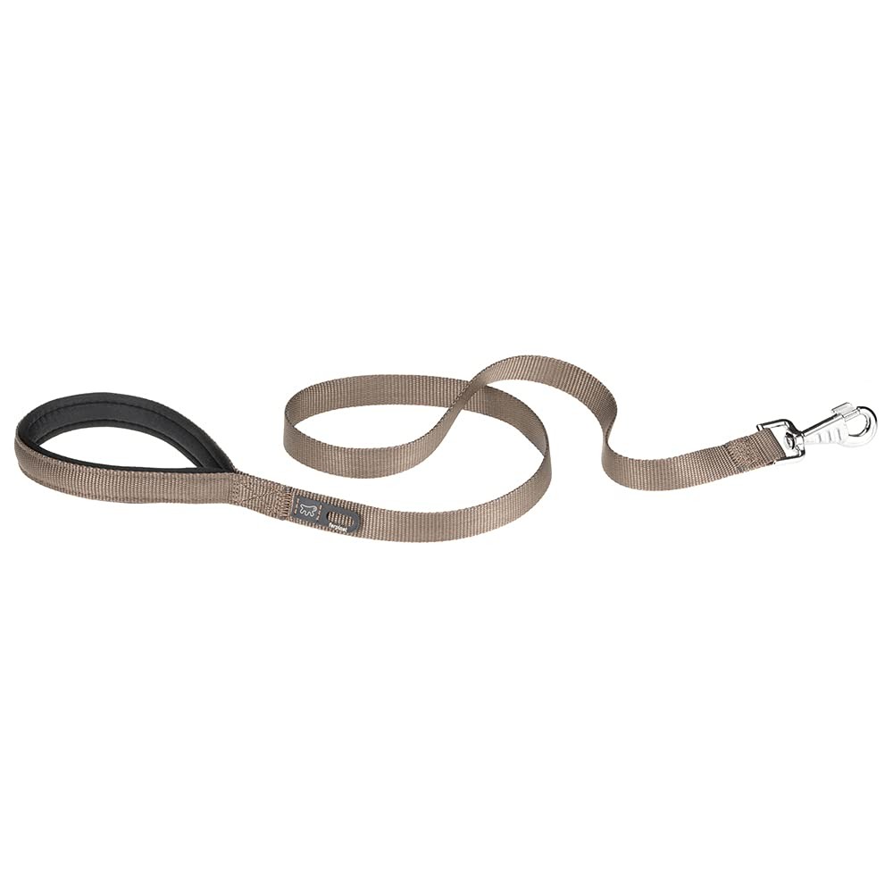 Laisse en nylon Daytona pour chiens : sangle de promenade résistante gros chien 25mm
