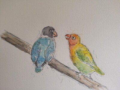 Lovebirds Original Stift und Aquarellzeichnung signiert ungerahmt. A4 Gr. 