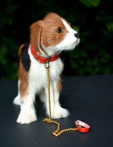 bernese mountain dog collar