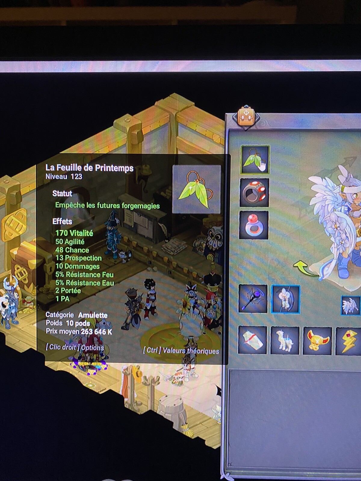 COMPTE DOFUS / Serveur mikhal EUR 90,00 - FR