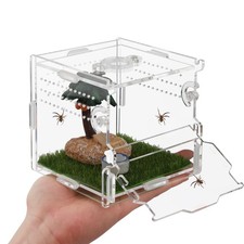 Reptile Terrarium,Tarantula Enclosure,Jumping Spider Enclosure for Tarantula ...