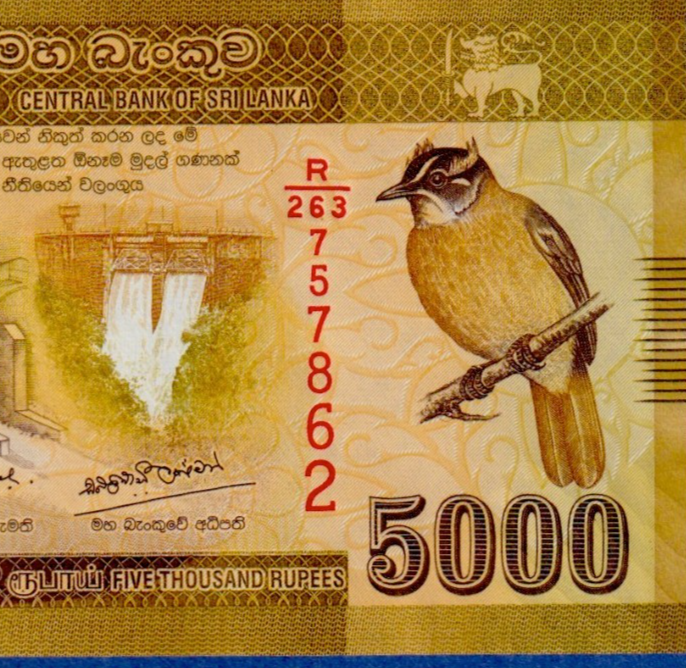 SRI LANKA (CEYLON) 5000 5,000 Rupee 2020 P-128 (New) UNC | eBay