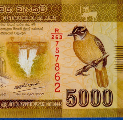 SRI LANKA (CEYLON) 5000 5,000 Rupee 2020 P-128 (New) UNC | eBay