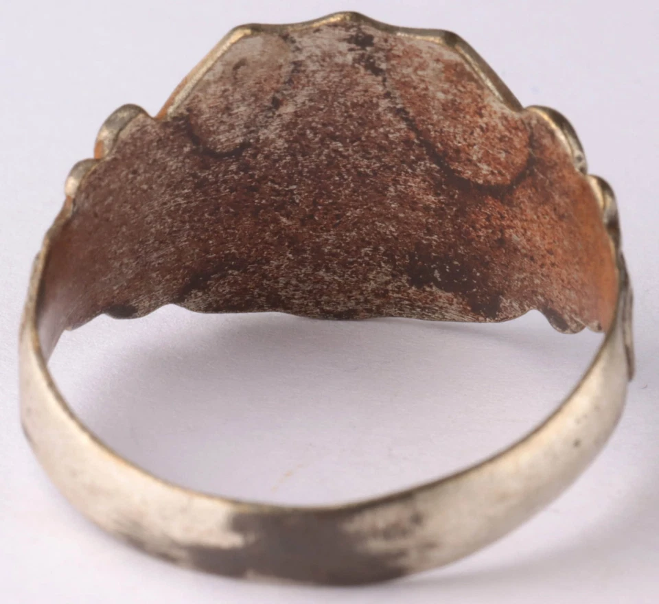 Memento Mori Raven on a skull Symbolizes the rethinking of death, victory over - Image 4 of 4