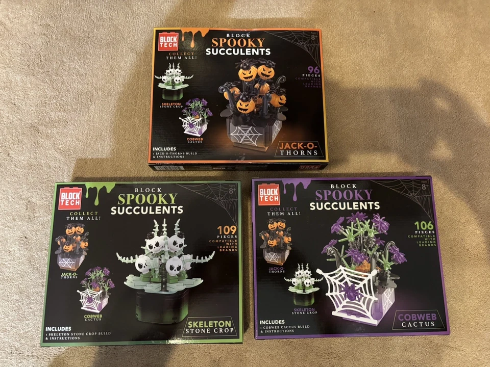 3 Block Spooky Succulents SKELETON STONE CROP & JACK-O-THORNS & COBWEB CACTUS - Image 2 of 2